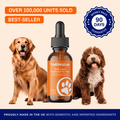 Daily Dog Supplement
